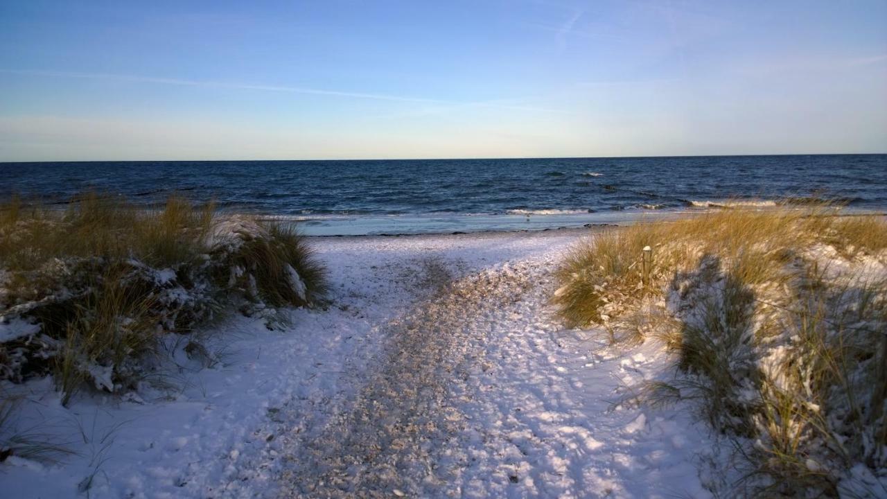 Fewo Himmel& Meer - Nur 300M Vom Meer Ostseebad Kühlungsborn Exteriör bild